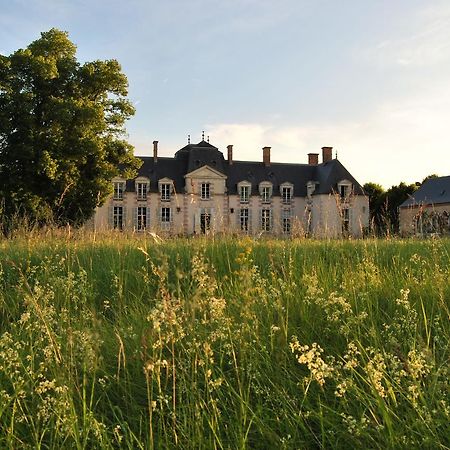 Chateau La Touanne Loire Valley Baccon Exterior foto