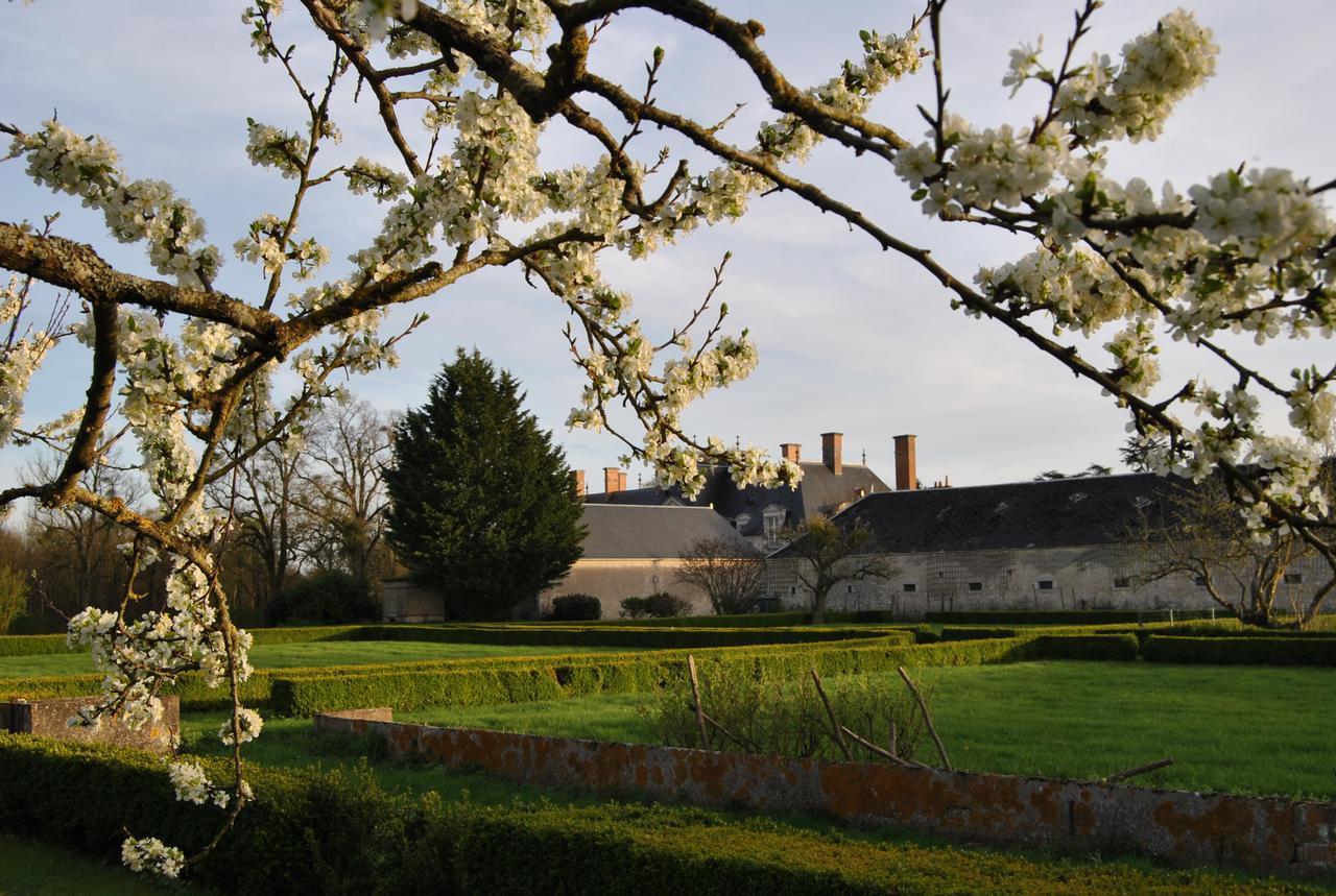 Chateau La Touanne Loire Valley Baccon Exterior foto